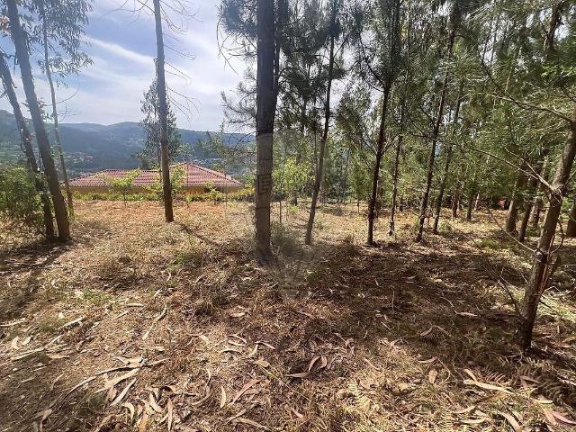 Terreno venda em Gondoriz, Arcos de Valdevez