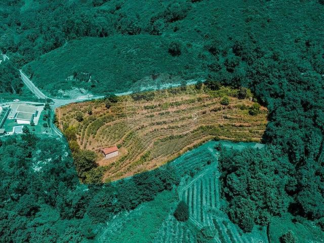 Terreno venda em Gondoriz, Terras de Bouro