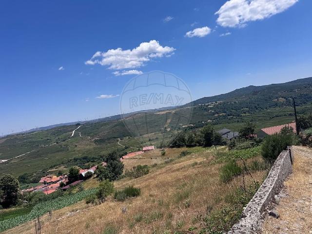Terreno venda em Gosende, Castro Daire