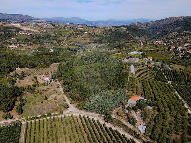 Terreno venda em São Bento, Tarouca