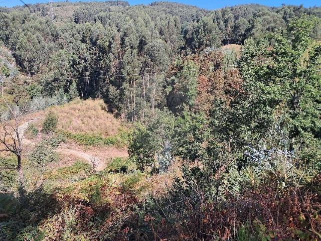 Terreno venda em Gove, Baião