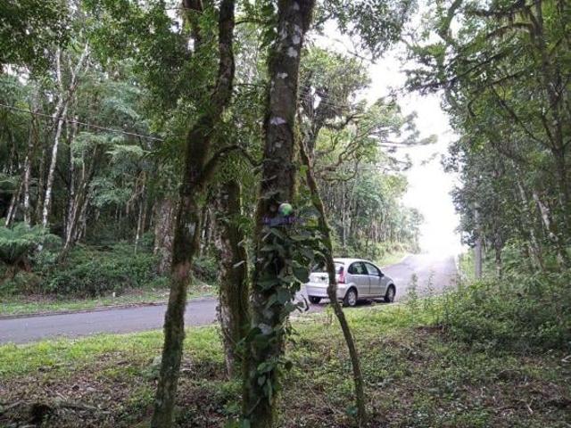 Terreno venda em Região Geográfica Imediata de Caxias do Sul, Gramado