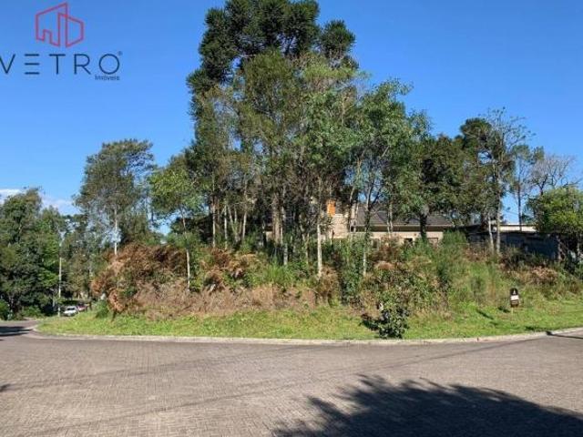 Terreno venda em Gramado