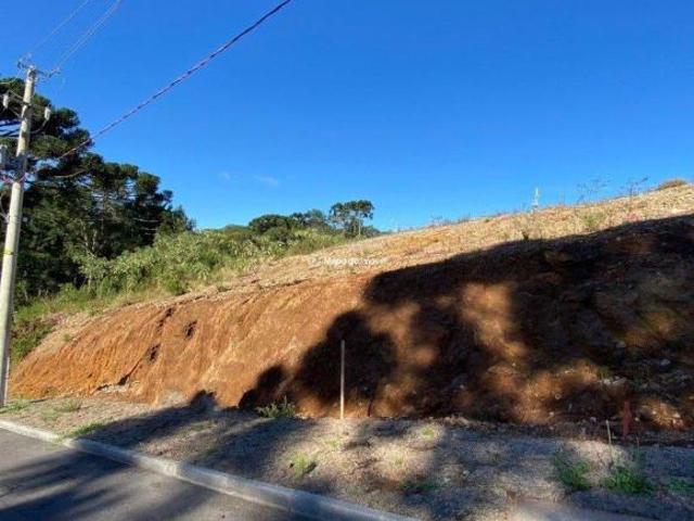 Terreno venda em Gramado