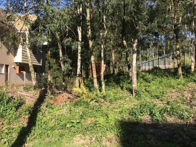 Terreno venda em Gramado
