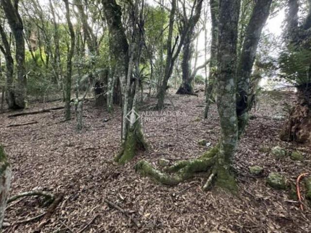 Terreno venda em Região Geográfica Imediata de Caxias do Sul, Gramado