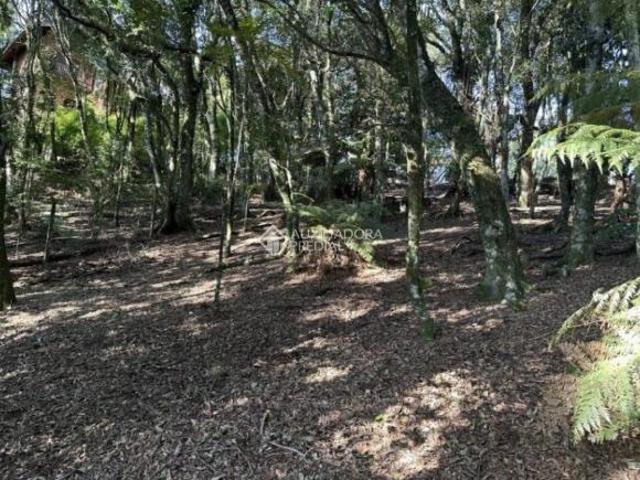 Terreno venda em Residencial Lagos de Gramado, Gramado
