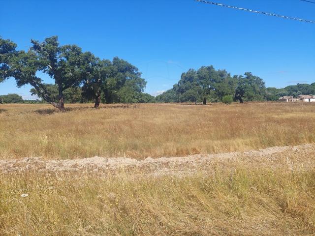 Terreno venda em Aldeia da Justa, Grândola