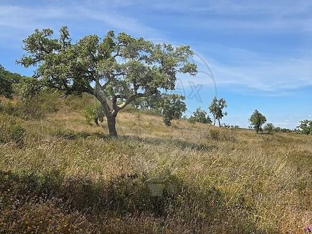 Terreno venda em Grândola e Santa Margarida da Serra, Grândola
