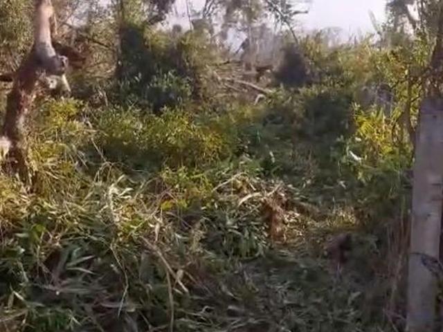 Terreno venda em Região Geográfica Imediata de Paranaguá, Guaratuba