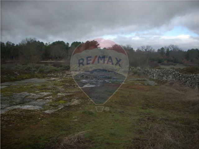 Terreno venda em Guarda