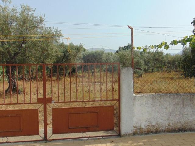Terreno venda em Guarda