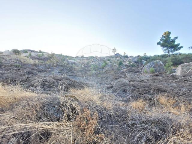 Terreno venda em Guarda