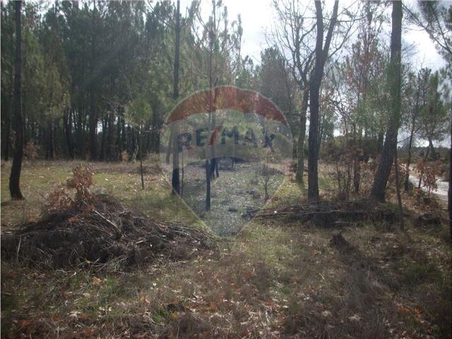 Terreno venda em Guarda