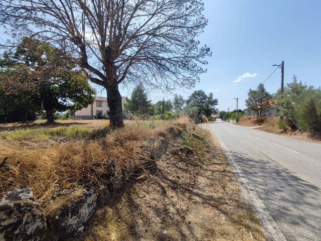 Terreno venda em Guarda