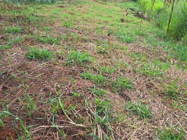 Terreno venda em Região Imediata de São Paulo, Região Metropolitana de São Paulo