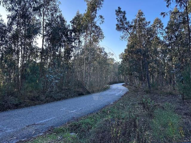 Terreno venda em Ilha, Pombal