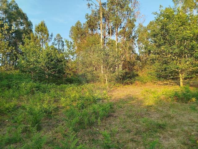 Terreno venda em Guilhofrei, Vieira do Minho