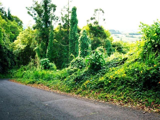 Terreno venda em Açores, Praia Do Almoxarife