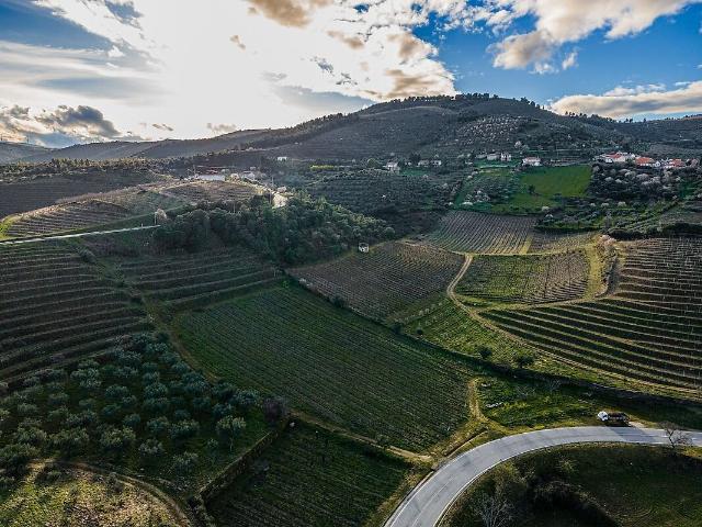 Terreno venda em Horta, Vila Nova de Foz Côa