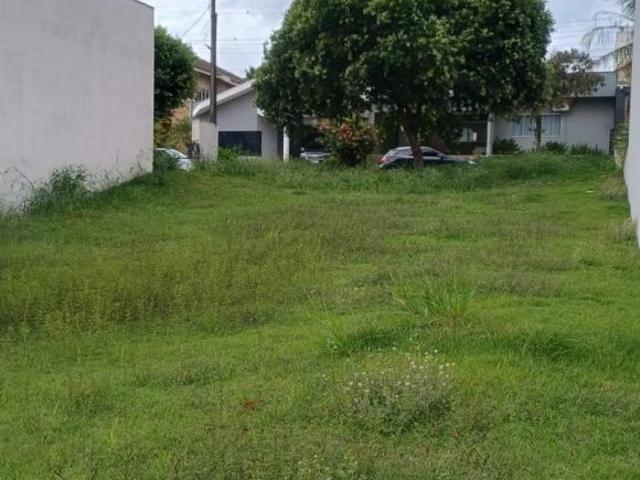 Terreno venda em Jardim Monte Verde, Ibiporã