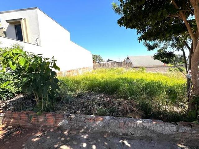 Terreno venda em Região Geográfica Imediata de Londrina, Ibiporã