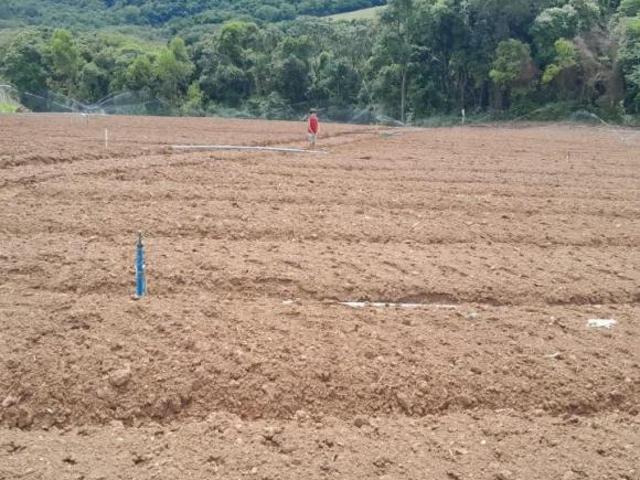 Terreno venda em Região Imediata de Sorocaba, Região Metropolitana de Sorocaba