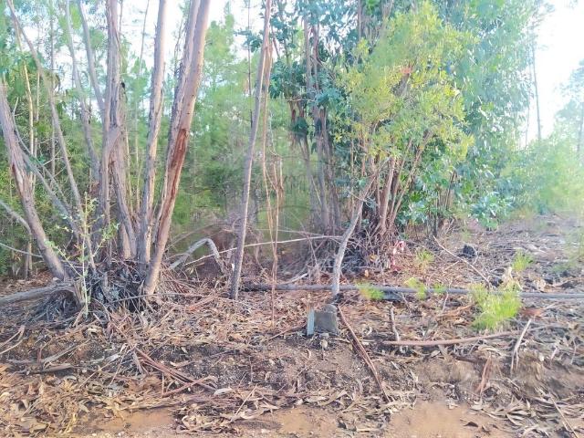 Terreno venda em Castelo Branco, Idanha-a-nova