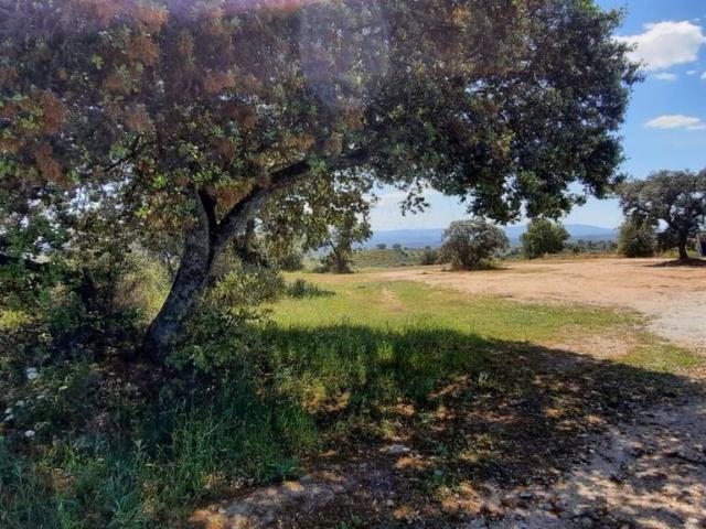 Terreno venda em Castelo Branco, Idanha-a-nova