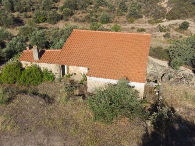 Terreno venda em Castelo Branco, Idanha-a-nova