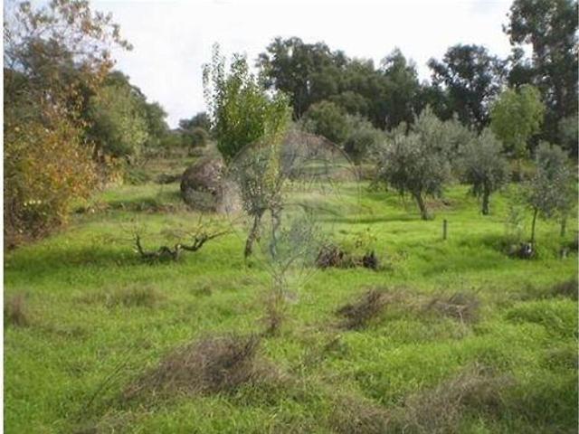 Terreno venda em Idanha-a-Nova e Alcafozes, Idanha-a-Nova