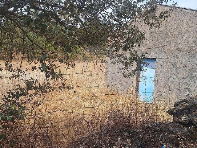 Terreno venda em Arraial das Naves de Santo António, Idanha-a-Nova