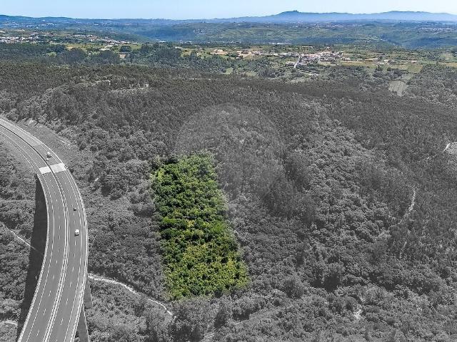 Terreno venda em Igreja Nova e Cheleiros, Mafra