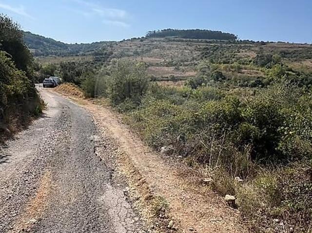 Terreno venda em Malveira e São Miguel de Alcainça, Mafra