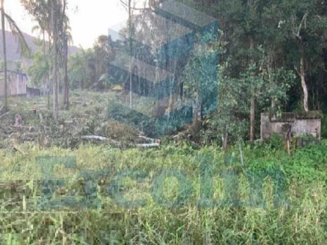 Terreno venda em Iguape