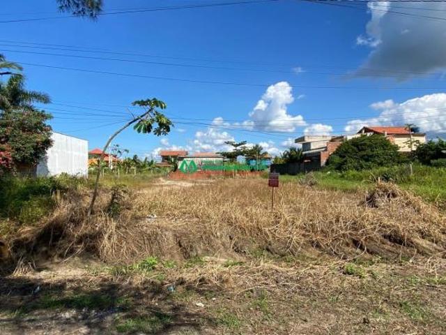 Terreno venda em Ilha Comprida