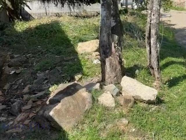 Terreno venda em Cambaquara, Ilhabela