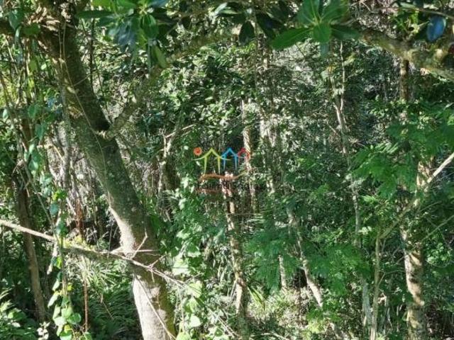 Terreno venda em Cambaquara, Ilhabela
