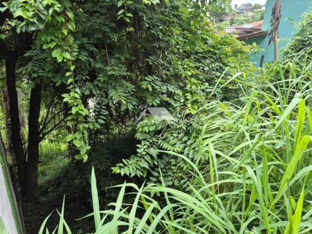 Terreno venda em Itaguassu, Ilhabela