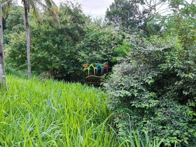 Terreno venda em Cambaquara, Ilhabela