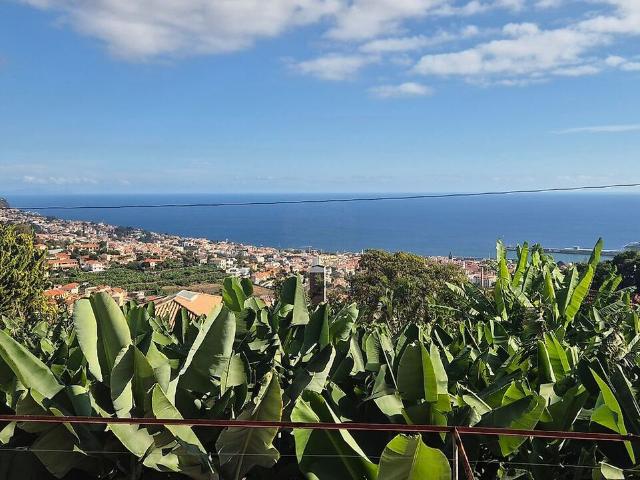 Terreno venda em Viveiros, Funchal
