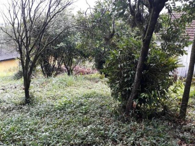 Terreno venda em Região Geográfica Imediata de Novo Hamburgo - São Leopoldo, Região Metropolitana de Porto Alegre