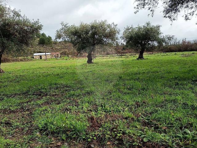Terreno venda em Maçainhas, Belmonte