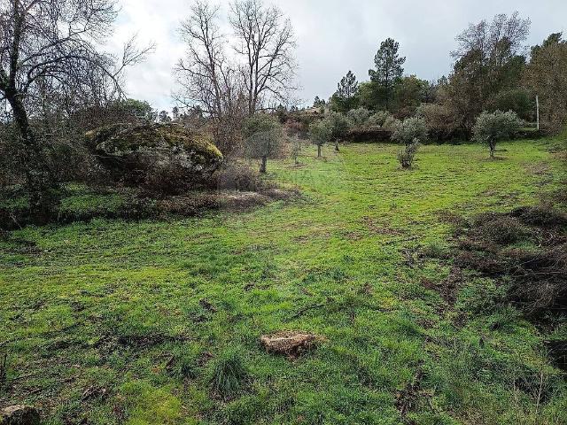 Terreno venda em Maçainhas, Belmonte