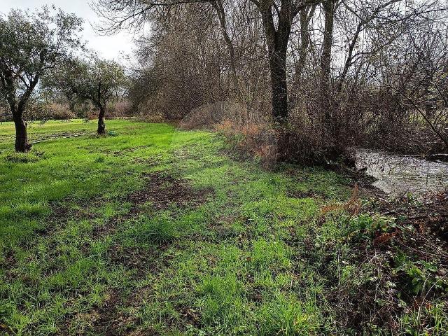 Terreno venda em Maçainhas, Belmonte