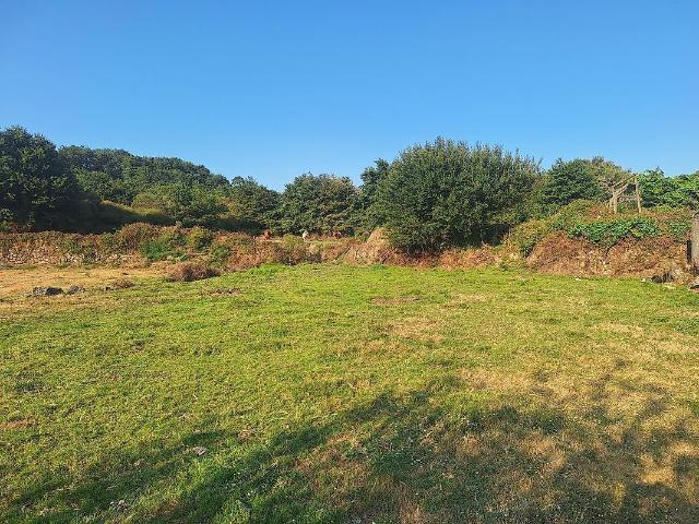 Terreno venda em Insalde, Insalde e Porreiras