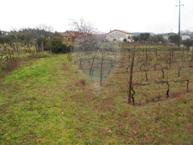 Terreno venda em Ínsua, Penalva do Castelo