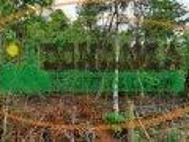 Terreno venda em Região Geográfica Imediata de Conselheiro Lafaiete, Itaverava