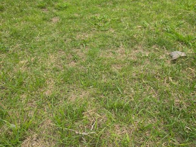 Terreno venda em Região Imediata de Jundiaí, Itupeva