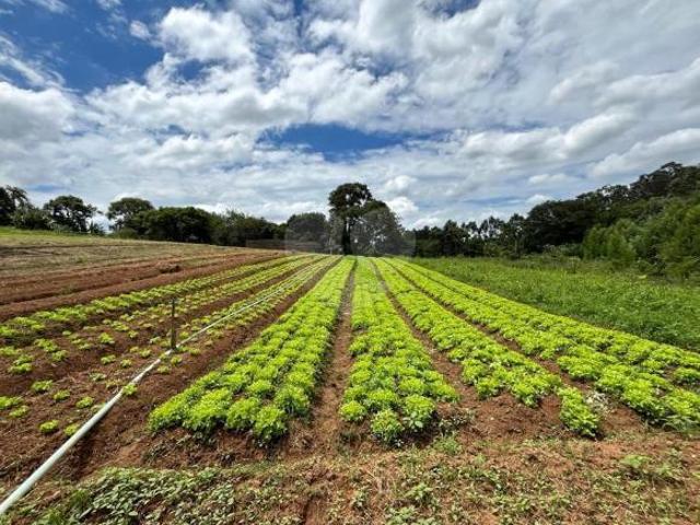 Terreno venda em Região Imediata de Jundiaí, Jundiaí